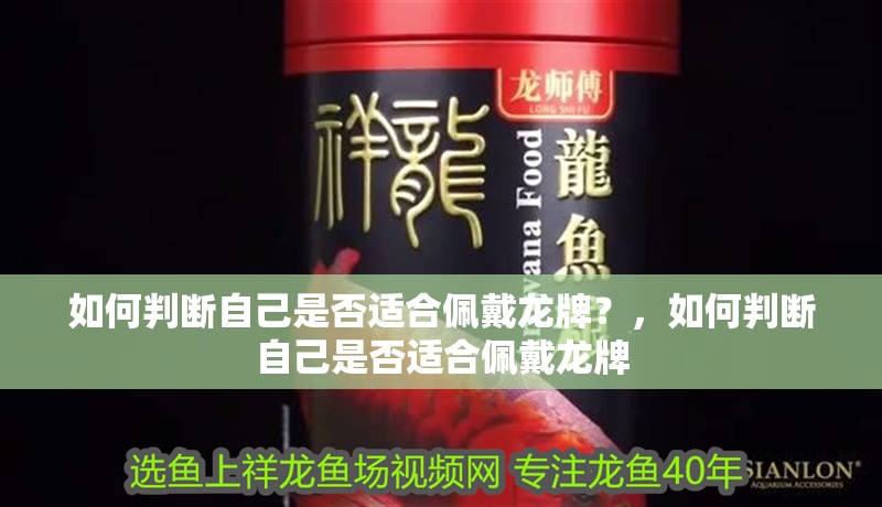 如何判斷自己是否適合佩戴龍牌？，如何判斷自己是否適合佩戴龍牌