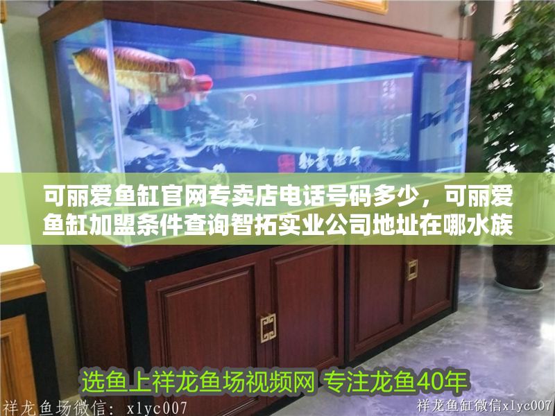 可麗愛魚缸官網專賣店電話號碼多少，可麗愛魚缸加盟條件查詢智拓實業公司地址在哪水族論壇可麗愛魚缸討論