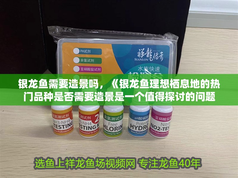 銀龍魚需要造景嗎，《銀龍魚理想棲息地的熱門品種是否需要造景是一個值得探討的問題