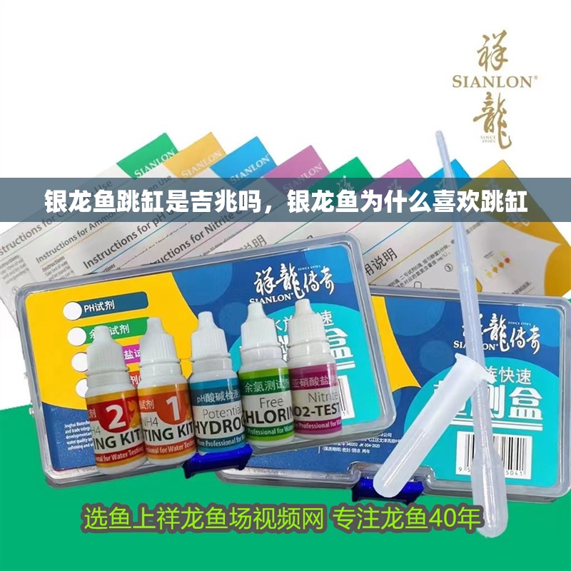 魚缸造景先放沙還是先放水(魚缸造景先鋪沙還是先放石頭) 銀龍魚跳缸是吉兆嗎,銀龍魚為什么喜歡跳缸 水族問答 銀龍魚跳缸是吉兆嗎,銀龍魚為什么喜歡跳缸 銀龍魚跳缸是吉兆嗎,銀龍魚為什么喜歡跳缸 水族問答