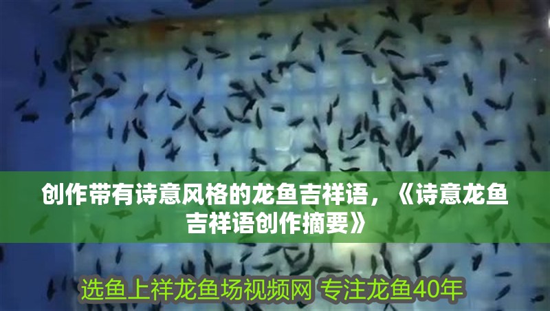 創作帶有詩意風格的龍魚吉祥語，《詩意龍魚吉祥語創作摘要》 創作帶有詩意風格的龍魚吉祥語，《詩意龍魚吉祥語創作摘要》 龍魚論壇