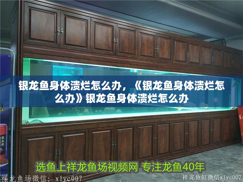 銀龍魚身體潰爛怎么辦，《銀龍魚身體潰爛怎么辦》銀龍魚身體潰爛怎么辦
