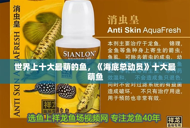 魚缸過濾器選購指南:自制魚缸過濾器魚缸上置過濾器對于養魚愛好者的必備知識 世界上十大最萌的魚,《海底總動員》十大最萌魚 龍魚論壇 世界上十大最萌的魚,《海底總動員》十大最萌魚 世界上十大最萌的魚,《海底總動員》十大最萌魚 龍魚論壇