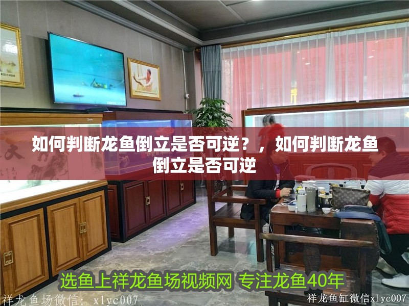 如何判斷龍魚倒立是否可逆？，如何判斷龍魚倒立是否可逆