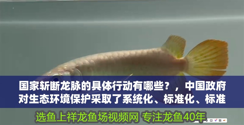 國家斬斷龍脈的具體行動有哪些？，中國政府對生態環境保護采取了系統化、標準化、標準化的管理措施