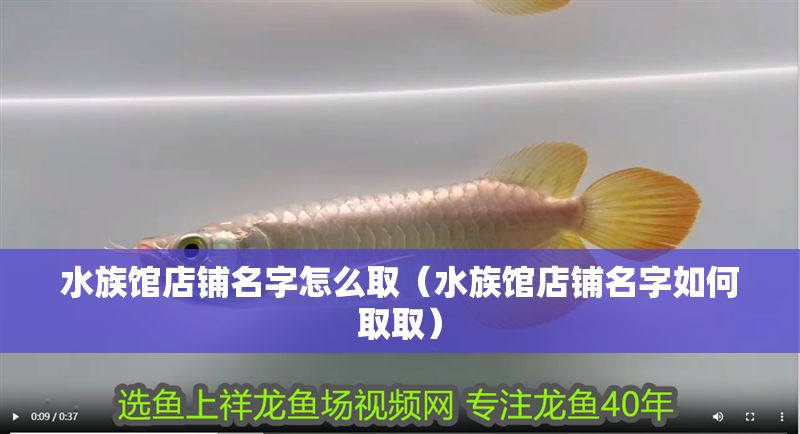 水族館店鋪名字怎么取（水族館店鋪名字如何取?。? title=