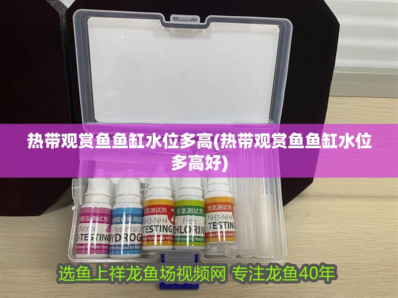 熱帶觀賞魚魚缸水位多高(熱帶觀賞魚魚缸水位多高好)