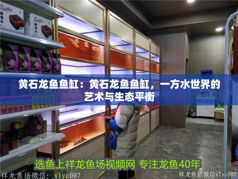 黃石龍魚魚缸：黃石龍魚魚缸，一方水世界的藝術與生態平衡