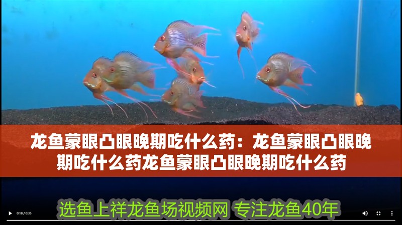 龍魚蒙眼凸眼晚期吃什么藥：龍魚蒙眼凸眼晚期吃什么藥龍魚蒙眼凸眼晚期吃什么藥 龍魚蒙眼凸眼晚期吃什么藥：龍魚蒙眼凸眼晚期吃什么藥龍魚蒙眼凸眼晚期吃什么藥 龍魚百科