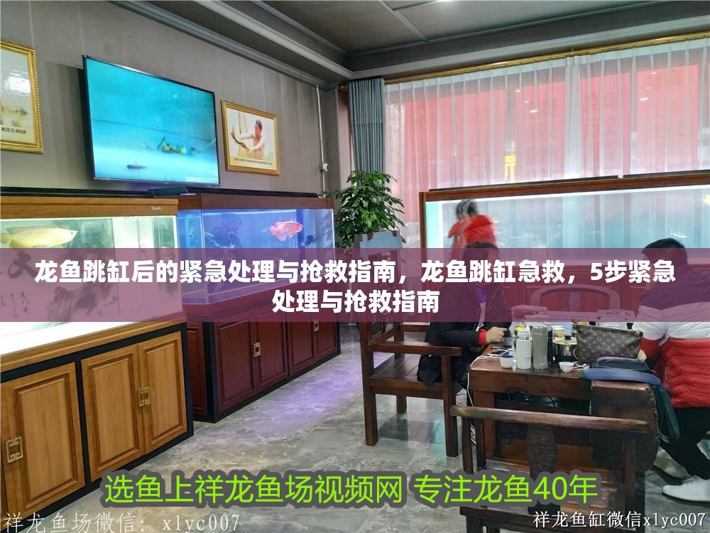 龍魚跳缸后的緊急處理與搶救指南，龍魚跳缸急救，5步緊急處理與搶救指南