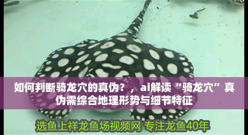 如何判斷騎龍穴的真?zhèn)危浚琣i解讀“騎龍穴”真?zhèn)涡杈C合地理形勢與細(xì)節(jié)特征