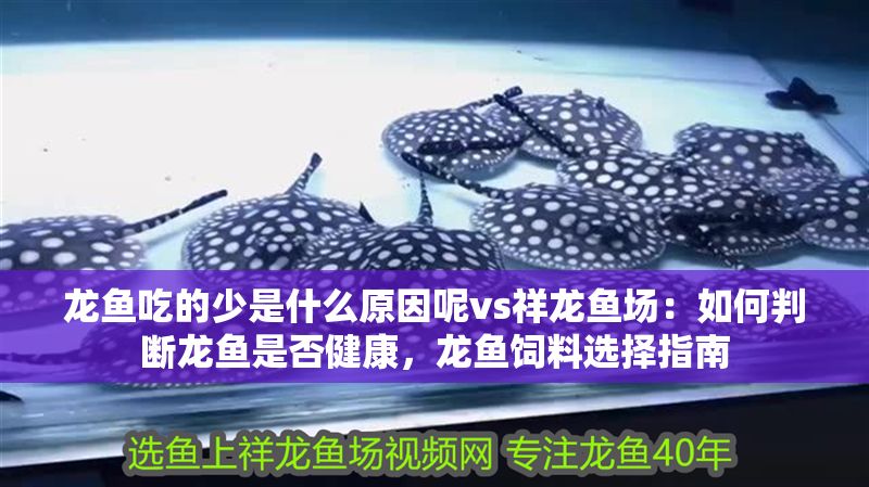 龍魚吃的少是什么原因呢vs祥龍魚場：如何判斷龍魚是否健康，龍魚飼料選擇指南