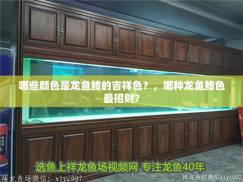 哪些顏色是龍魚鰭的吉祥色？，哪種龍魚鰭色最招財？