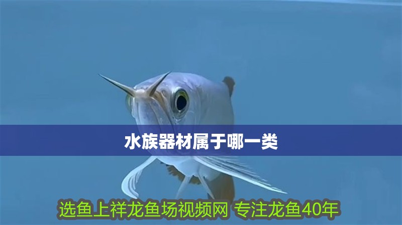 水族器材屬于哪一類(lèi)