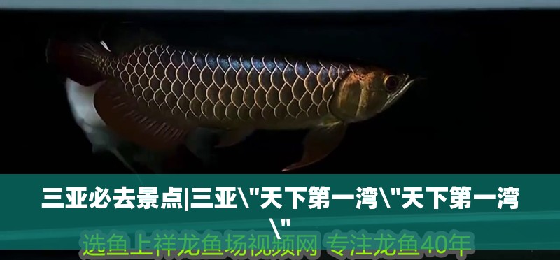 三亞必去景點|三亞\