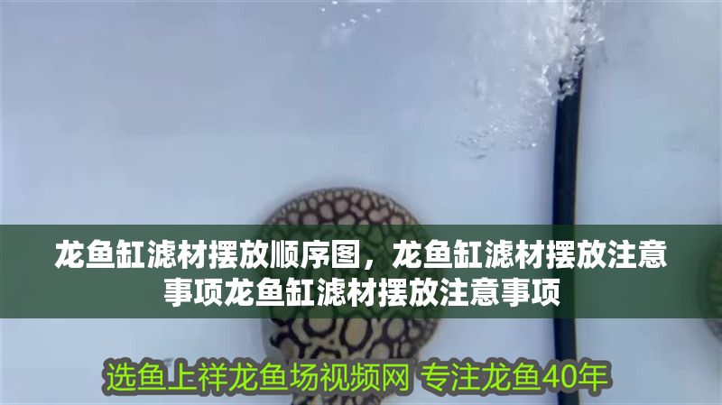 龍魚缸濾材擺放順序圖，龍魚缸濾材擺放注意事項龍魚缸濾材擺放注意事項