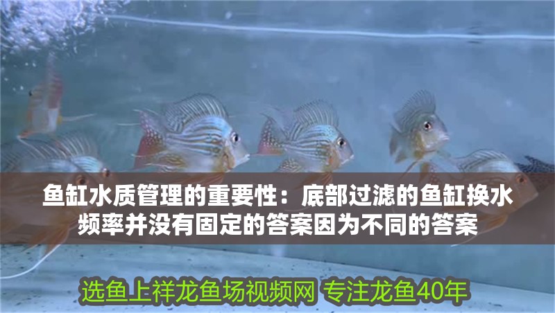 魚缸水質管理的重要性：底部過濾的魚缸換水頻率并沒有固定的答案因為不同的答案