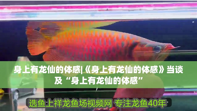 魚缸用增氧泵價格是多少:魚缸增氧機-xtrac增氧機-xtrac增氧機 身上有龍仙的體感|《身上有龍仙的體感》當談及“身上有龍仙的體感” 龍魚論壇 身上有龍仙的體感|《身上有龍仙的體感》當談及“身上有龍仙的體感” 身上有龍仙的體感|《身上有龍仙的體感》當談及“身上有龍仙的體感” 龍魚論壇