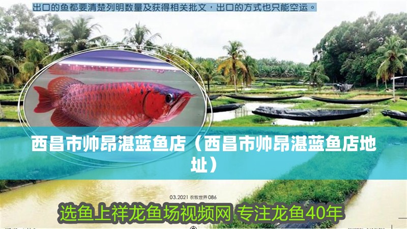 西昌市帥昂湛藍(lán)魚(yú)店（西昌市帥昂湛藍(lán)魚(yú)店地址） 西昌市帥昂湛藍(lán)魚(yú)店（西昌市帥昂湛藍(lán)魚(yú)店地址） 全國(guó)水族館企業(yè)名錄