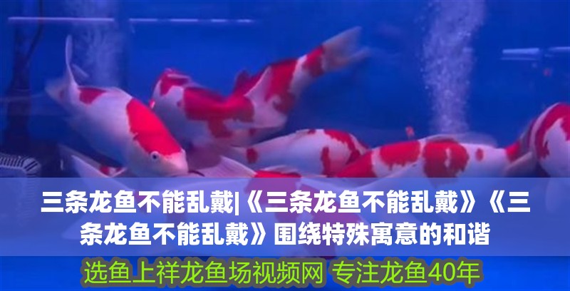 三條龍魚不能亂戴|《三條龍魚不能亂戴》《三條龍魚不能亂戴》圍繞特殊寓意的和諧 三條龍魚不能亂戴|《三條龍魚不能亂戴》《三條龍魚不能亂戴》圍繞特殊寓意的和諧 水族問答