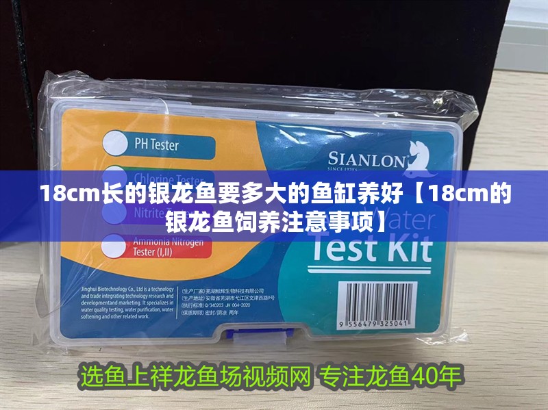 18cm長的銀龍魚要多大的魚缸養好【18cm的銀龍魚飼養注意事項】