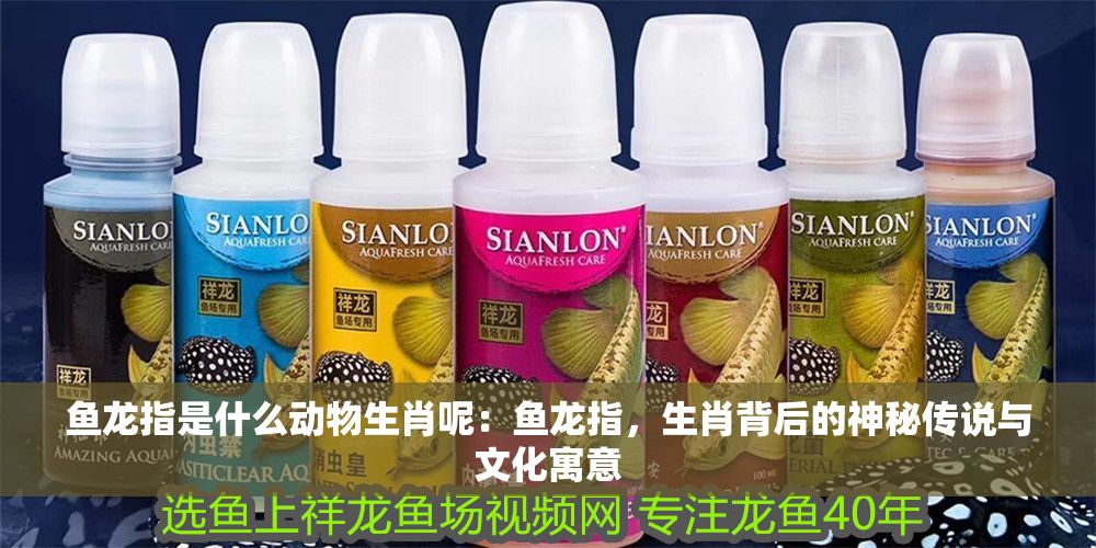 魚龍指是什么動物生肖呢：魚龍指，生肖背后的神秘傳說與文化寓意