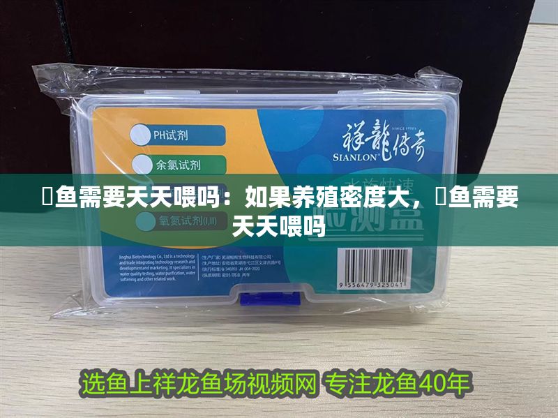 魟魚需要天天喂嗎：如果養殖密度大，魟魚需要天天喂嗎