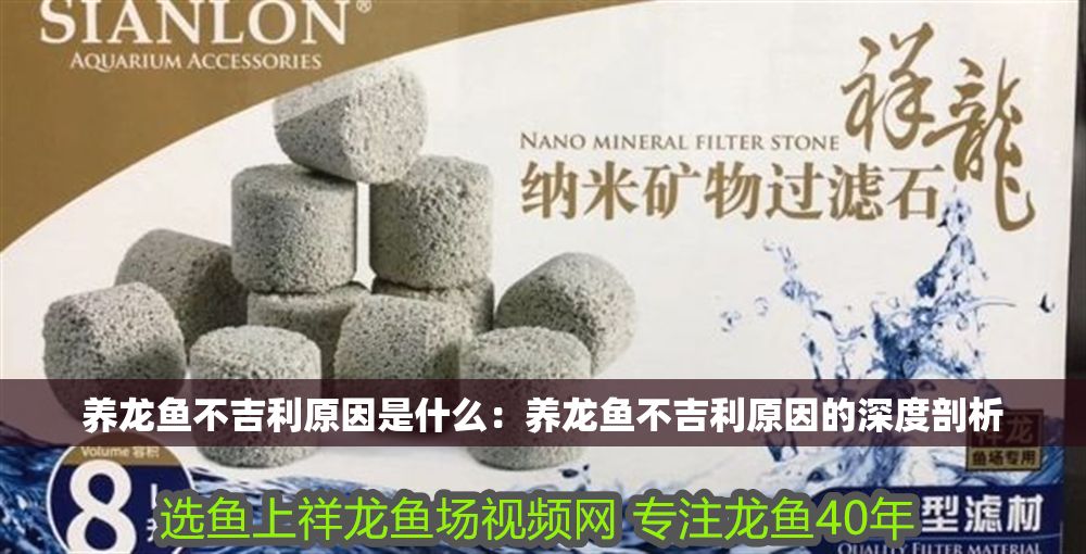 養龍魚不吉利原因是什么：養龍魚不吉利原因的深度剖析