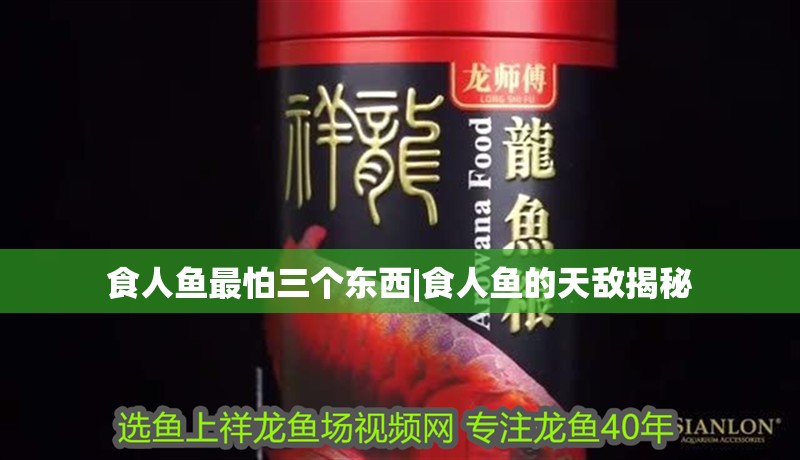 食人魚最怕三個東西|食人魚的天敵揭秘