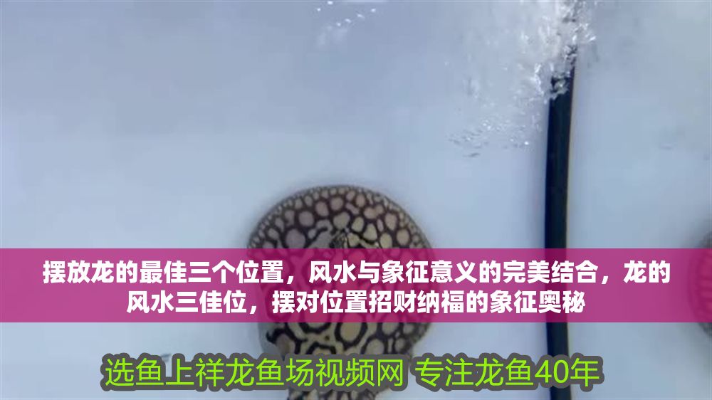 擺放龍的最佳三個位置，風水與象征意義的完美結(jié)合，龍的風水三佳位，擺對位置招財納福的象征奧秘