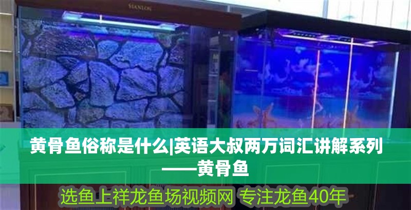 黃骨魚俗稱是什么|英語(yǔ)大叔兩萬(wàn)詞匯講解系列——黃骨魚