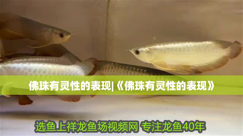 佛珠有靈性的表現|《佛珠有靈性的表現》