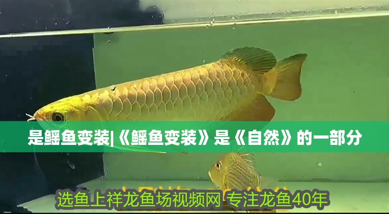 是鰩魚變裝|《鰩魚變裝》是《自然》的一部分