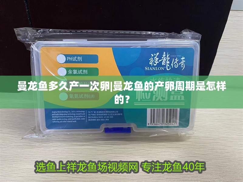 曼龍魚多久產一次卵|曼龍魚的產卵周期是怎樣的？ 曼龍魚多久產一次卵|曼龍魚的產卵周期是怎樣的？ 水族問答