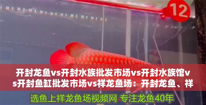 開封龍魚vs開封水族批發市場vs開封水族館vs開封魚缸批發市場vs祥龍魚場：開封龍魚、祥龍魚場、水族批發市場 開封龍魚vs開封水族批發市場vs開封水族館vs開封魚缸批發市場vs祥龍魚場：開封龍魚、祥龍魚場、水族批發市場 祥龍魚場各市分站 第2張