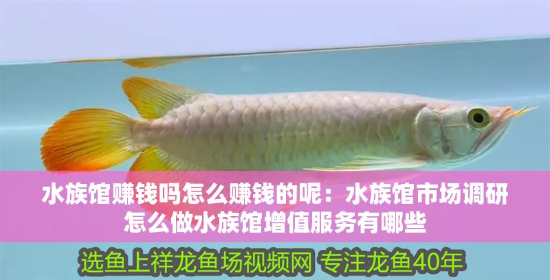 水族館賺錢嗎怎么賺錢的呢：水族館市場調研怎么做水族館增值服務有哪些