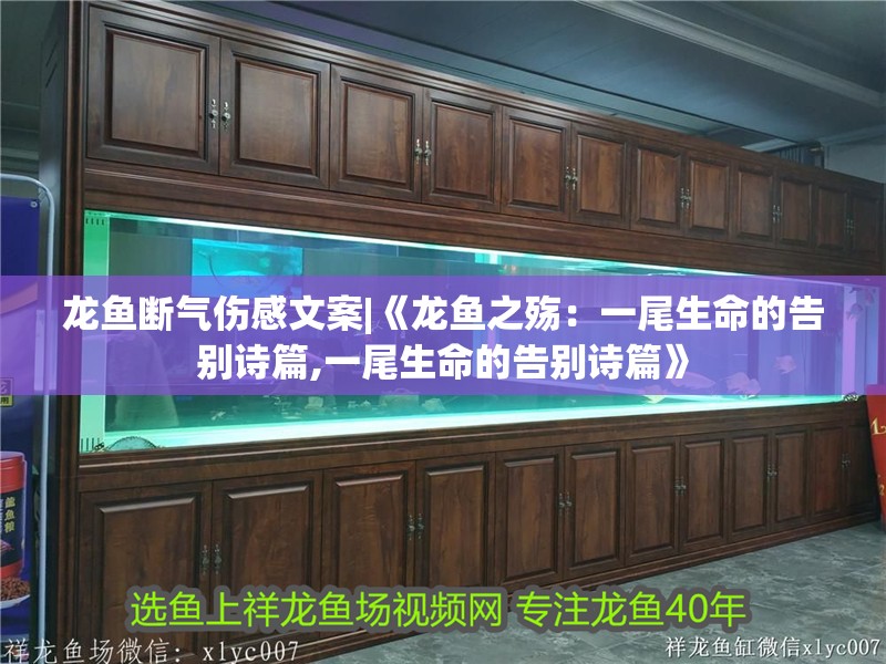 龍魚斷氣傷感文案|《龍魚之殤：一尾生命的告別詩篇,一尾生命的告別詩篇》