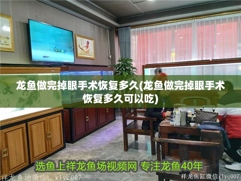 龍魚做完掉眼手術(shù)恢復(fù)多久(龍魚做完掉眼手術(shù)恢復(fù)多久可以吃) 元寶鳳凰魚百科 第1張 龍魚做完掉眼手術(shù)恢復(fù)多久(龍魚做完掉眼手術(shù)恢復(fù)多久可以吃) 龍魚做完掉眼手術(shù)恢復(fù)多久(龍魚做完掉眼手術(shù)恢復(fù)多久可以吃) 元寶鳳凰魚百科 第1張