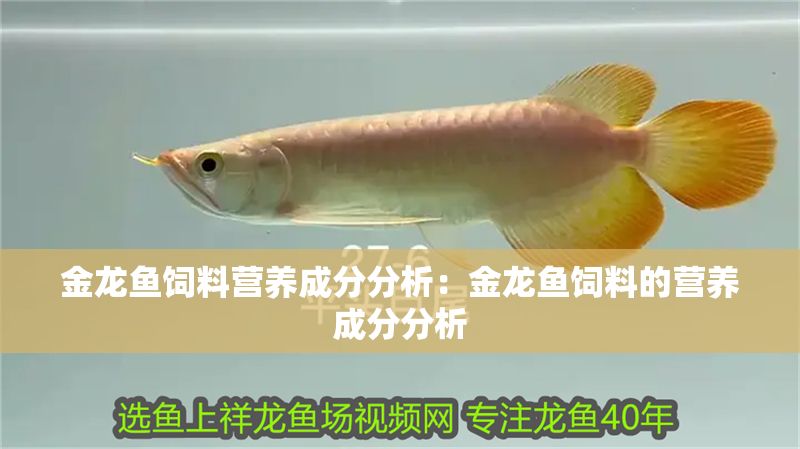 金龍魚飼料營養成分分析：金龍魚飼料的營養成分分析