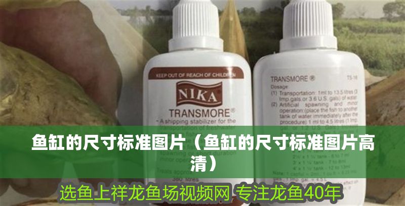 魚缸的尺寸標準圖片（魚缸的尺寸標準圖片高清）