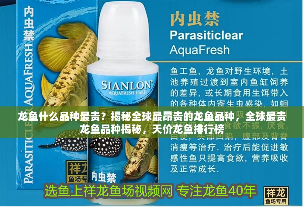 龍魚什么品種最貴？揭秘全球最昂貴的龍魚品種，全球最貴龍魚品種揭秘，天價龍魚排行榜