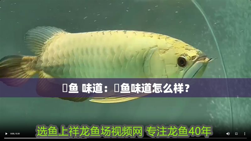 魟魚(yú) 味道：魟魚(yú)味道怎么樣？ 魟魚(yú) 味道：魟魚(yú)味道怎么樣？ 魟魚(yú)百科 第2張