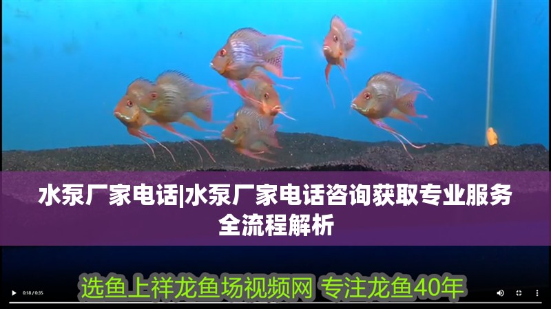 水泵廠家電話|水泵廠家電話咨詢獲取專業(yè)服務(wù)全流程解析