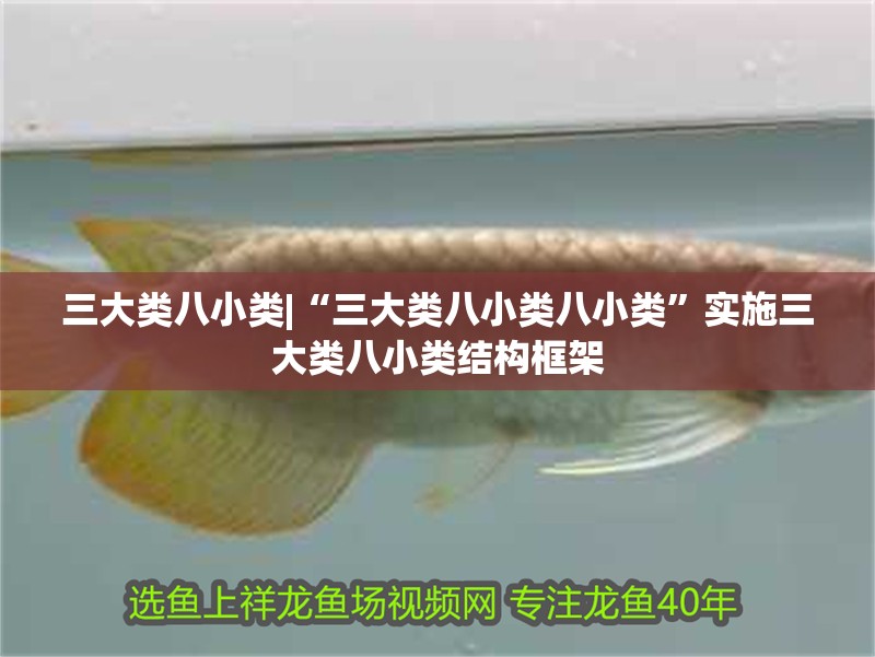 三大類八小類|“三大類八小類八小類”實施三大類八小類結構框架