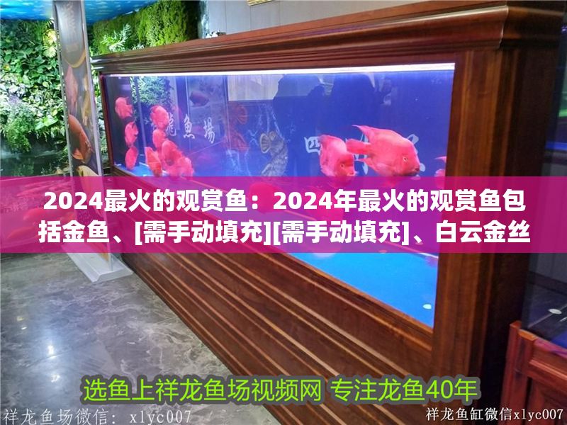 2024最火的觀賞魚：2024年最火的觀賞魚包括金魚、[需手動填充][需手動填充]、白云金絲和觀背青鳉等 2024最火的觀賞魚：2024年最火的觀賞魚包括金魚、[需手動填充][需手動填充]、白云金絲和觀背青鳉等 魚缸百科 第2張