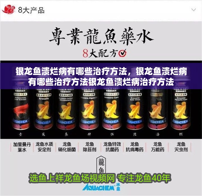 銀龍魚潰爛病有哪些治療方法，銀龍魚潰爛病有哪些治療方法銀龍魚潰爛病治療方法 銀龍魚潰爛病有哪些治療方法，銀龍魚潰爛病有哪些治療方法銀龍魚潰爛病治療方法 龍魚百科
