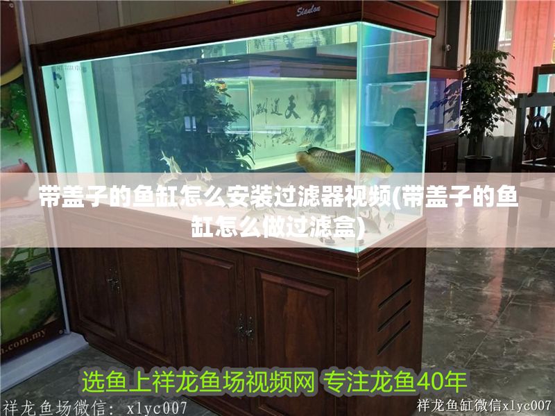 帶蓋子的魚缸怎么安裝過濾器視頻(帶蓋子的魚缸怎么做過濾盒) 黃金貓魚百科 第1張 帶蓋子的魚缸怎么安裝過濾器視頻(帶蓋子的魚缸怎么做過濾盒) 帶蓋子的魚缸怎么安裝過濾器視頻(帶蓋子的魚缸怎么做過濾盒) 黃金貓魚百科 第1張