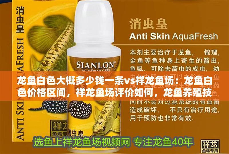 龍魚白色大概多少錢一條vs祥龍魚場(chǎng)：龍魚白色價(jià)格區(qū)間，祥龍魚場(chǎng)評(píng)價(jià)如何，龍魚養(yǎng)殖技巧分享