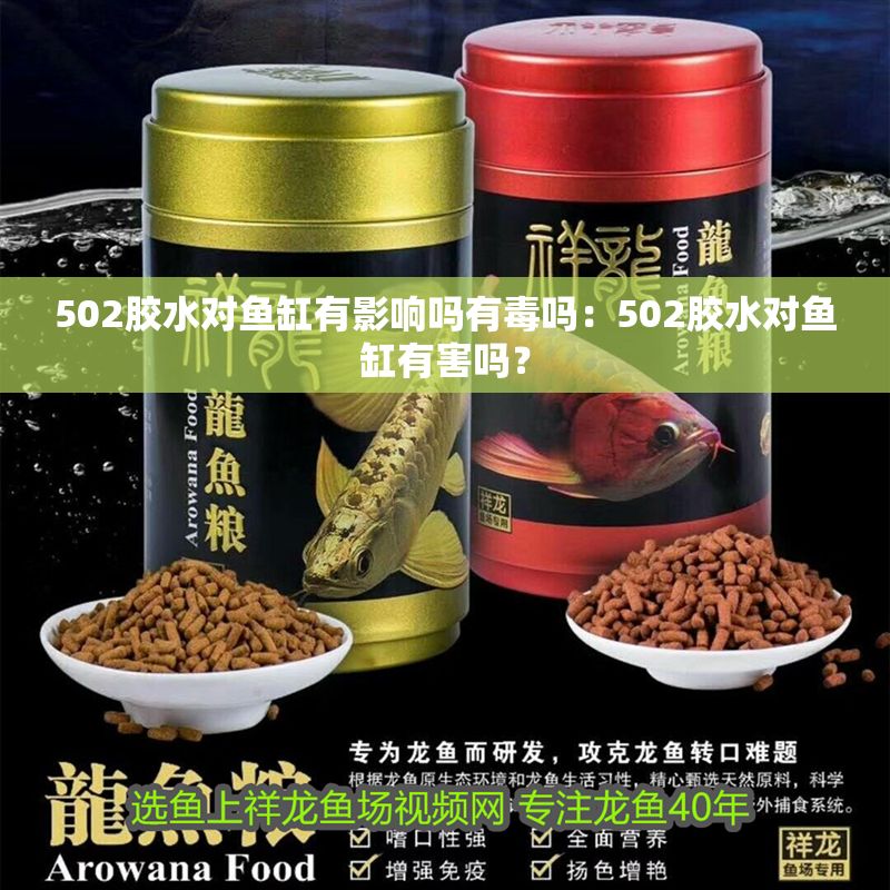 502膠水對魚缸有影響嗎有毒嗎：502膠水對魚缸有害嗎？