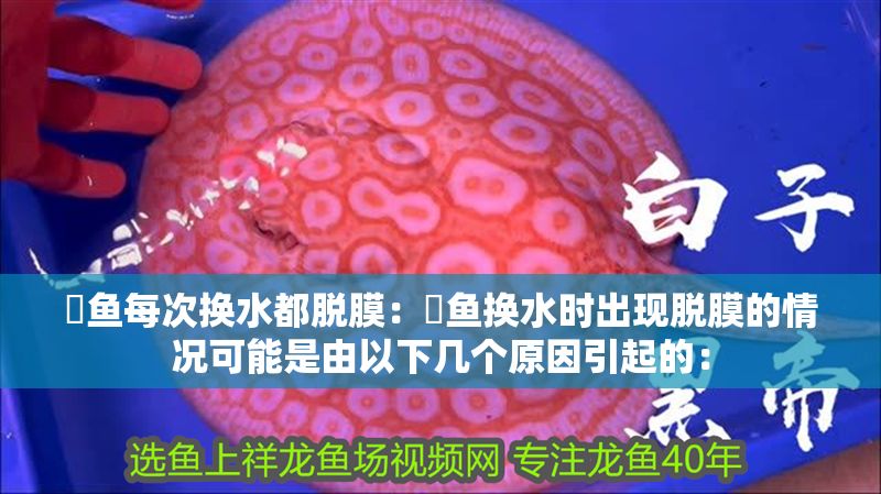 魟魚每次換水都脫膜：魟魚換水時出現脫膜的情況可能是由以下幾個原因引起的： 魟魚每次換水都脫膜：魟魚換水時出現脫膜的情況可能是由以下幾個原因引起的： 魟魚百科 第2張